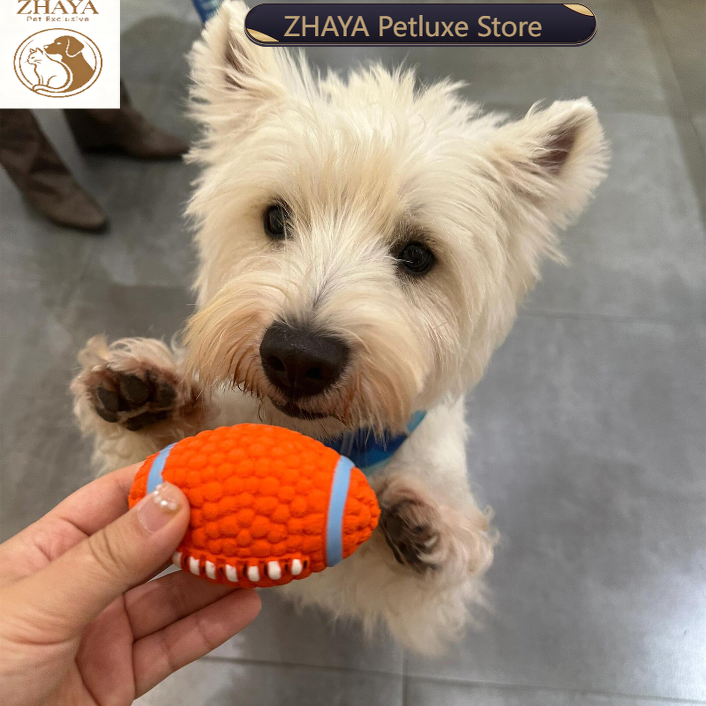 Rugby Training Ball - ZHAYA Ballon interactif couineur pour animaux