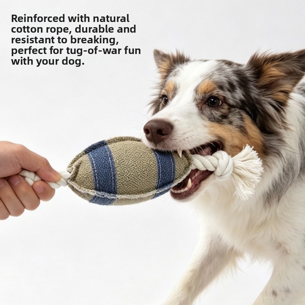 Rugby Training Ball - Balle à mâcher pour chien résistante