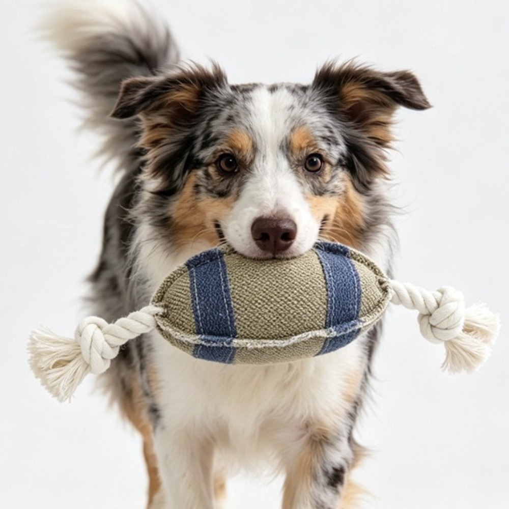 Balle à mâcher pour chien rési - Rugby Training Ball avis et prix
